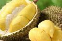 Fakta durian bisa sebabkan darah tinggi