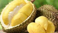 Fakta durian bisa sebabkan darah tinggi