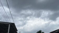 CREATOR: gd-jpeg v1.0 (using IJG JPEG v62), quality = 80?