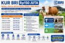 Simulasi cicilan KUR pinjaman Rp150 juta