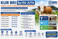 Simulasi cicilan KUR pinjaman Rp150 juta