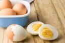 Konsumsi telur yang normal untuk program diet