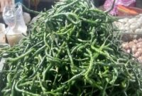 Harga cabe hijau lebih mahal ketimbang cabe merah di kerinci