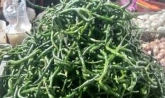 Harga Cabai Keriting di Kerinci dan Sungai Penuh Hari Ini: Cabai Hijau Justru Lebih Mahal, Tembus Rp35 Ribu per Kg