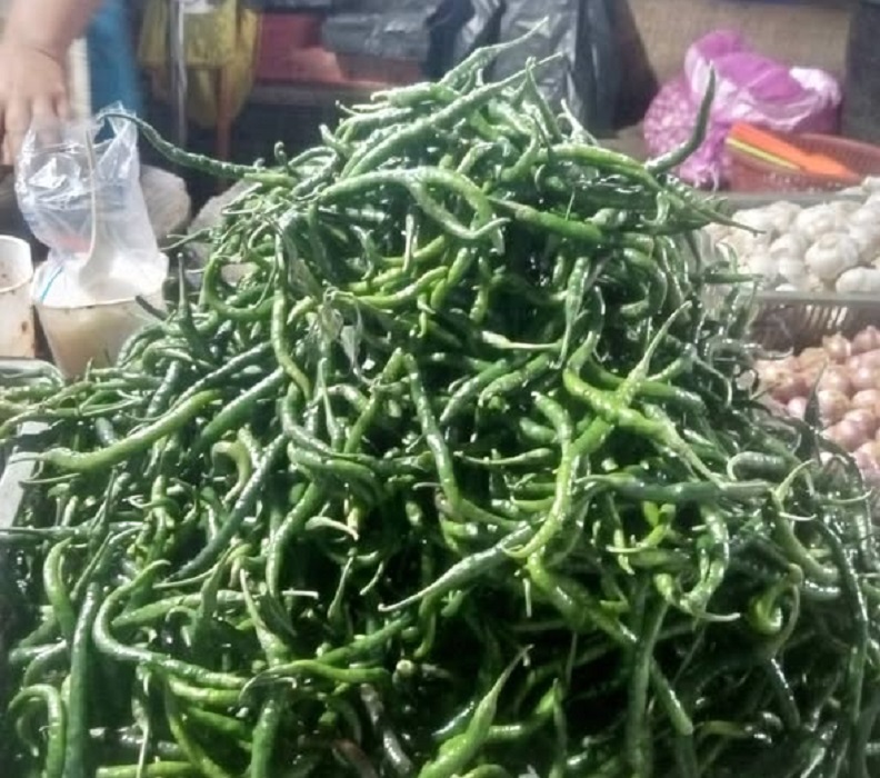 Harga cabe hijau lebih mahal ketimbang cabe merah di kerinci