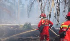Kebakaran Lahan Pinang 2,5 Hektare di Muntialo Makin Sulit Dipadamkan, Petugas Hadapi Krisis Sumber Air
