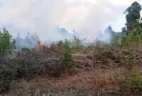 Karhutla terjadi di belakang kapus UI Tebo