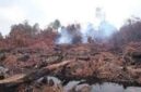 Tampak kebakaran hutan di jambi yang semakin hari makin meluas