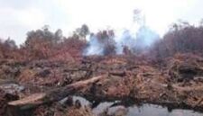 Tampak kebakaran hutan di jambi yang semakin hari makin meluas