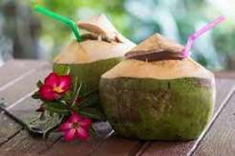 Manfaat air Kelapa untuk kesehatan ginjal