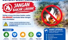 Buka Lahan dengan Cara Dibakar Dilarang! Warga Kerinci Wajib Tahu Aturan dan Sanksinya