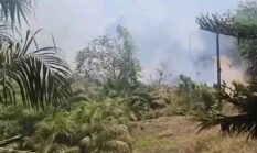 Tebo Dihantui Karhutla, Api Muncul di Sejumlah Lokasi dalam Beberapa Hari Terakhir