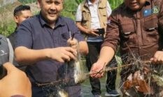Lubuk Larangan Durian Rambun Resmi Dibuka, Bupati M. Syukur Siapkan Rp3 Miliar untuk Perbaikan Jalan dan Tegaskan Larangan PETI