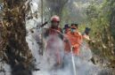 Kebakaran hutan dan lahan yang terjadi di sarolangun semakin mengkhawatirkan