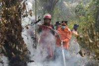 Kebakaran hutan dan lahan yang terjadi di sarolangun semakin mengkhawatirkan