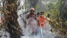 Kebakaran hutan dan lahan yang terjadi di sarolangun semakin mengkhawatirkan