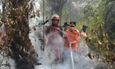 Karhutla Sarolangun 2026 Makin Mengkhawatirkan, 488 Hektare Lahan Terbakar dan 1.070 Hotspot Terdeteksi