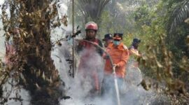 Kebakaran hutan dan lahan yang terjadi di sarolangun semakin mengkhawatirkan