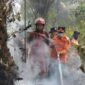 Kebakaran hutan dan lahan yang terjadi di sarolangun semakin mengkhawatirkan