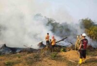Karhutla yang terjadi di Bungo