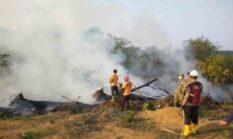 Waspada Karhutla Bungo! Ratusan Hotspot Muncul, Luas Lahan Terbakar Terus Bertambah