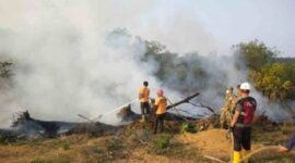 Karhutla yang terjadi di Bungo