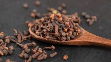 Cloves (Syzygium aromaticum) are an authentic Indonesian spice rich in health benefits, primarily driven by their high antioxidant and eugenol content