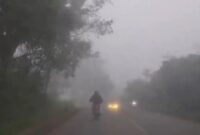 Sempat cerah membaik sekitar empat hari, kabut asap dan udara tak sehat kembali selimuti kota jambi