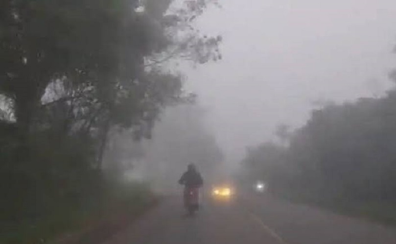 Sempat cerah membaik sekitar empat hari, kabut asap dan udara tak sehat kembali selimuti kota jambi