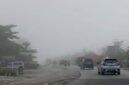 Prakiraan cuaca Provinsi jambi hari ini