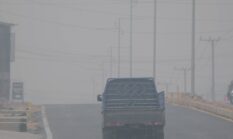 Jarak Pandang Menurun, Kabut Asap Tebal Ganggu Aktivitas Warga Singkut Sarolangun