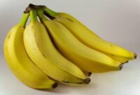 Manfaat sarapan dengan mengkunsumsi pisang
