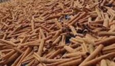 Health benefits of Cassia vera