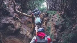 Tampak salah satu jalur pendakian gunung kerinci