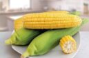 Manfaat jagung bagi kesehatan