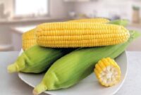 Manfaat jagung bagi kesehatan