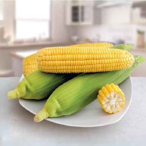 Manfaat jagung bagi kesehatan