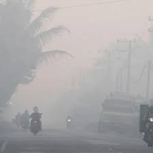 Kabut asap Ancam kesehatan Kota Jambi