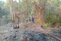 Upaya pemadaman kebakaran lahan oleh Dinas Pol PP dan Damkar Kota Sungai Penuh di RKE