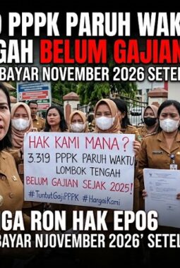 Parah!, 3.319 PPPK Paruh Waktu Didaerah Ini Belum Tak Kunjung Terima Gaji